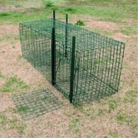 Steel Wire Collapsible Animal Trap CH653 for Bird, Possum, Squirrel, Small Dog, Cat, Raccoon, etc. alternate main view