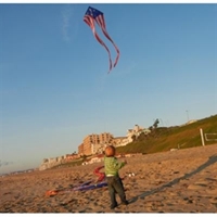Picture of K1468  Patriotic Easy Flyer Kite 56in tails 19ft