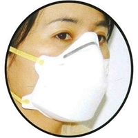 Disposable Dust Mask  3-ply N95