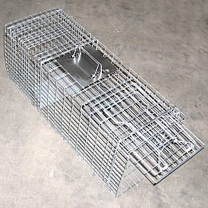 Steel Wire Collapsible Animal Trap HC2615L for Bird, Possum, Squirrel, Small Dog, Cat, Raccoon, etc. main view