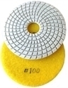 Picture of DPP2  4IN Diamond Polishing Pad WET - 100 GRIT
