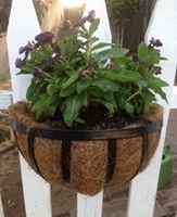 Picture of GARD16  6x6x12 wall mounted gardening pot, husk 