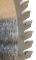 Picture of TC1096  10IN 96 Tooth Triple Chip Tungsten Carbide Tipped  Saw Blade for WOOD