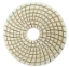 Picture of DPP3  4IN Diamond Polishing Pad WET - 200 GRIT