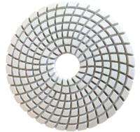 Picture of DPP4  4IN Diamond Polishing Pad WET - 400 GRIT