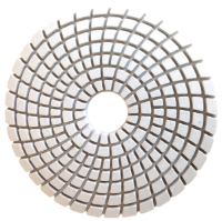 Picture of DPP7  4IN Diamond Polishing Pad WET - 3000 GRIT