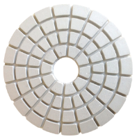 Picture of DPP8  4IN Diamond Polishing Pad WET - 8000 GRIT