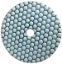 Picture of DPP26   5IN Diamond Polishing Pad 100 GRIT, DRY