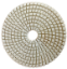Picture of DPP127  5IN Diamond Polishing Pad WET - 100 GRIT