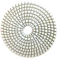 Picture of DPP128  5IN Diamond Polishing Pad WET - 200 GRIT